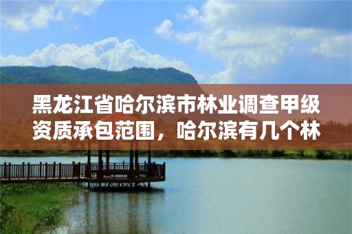 黑龙江省哈尔滨市林业调查甲级资质承包范围，哈尔滨有几个林业局