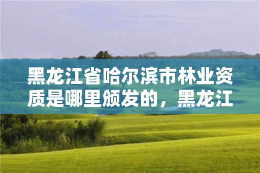 黑龙江省哈尔滨市林业资质是哪里颁发的，黑龙江省哈尔滨市林业局官网