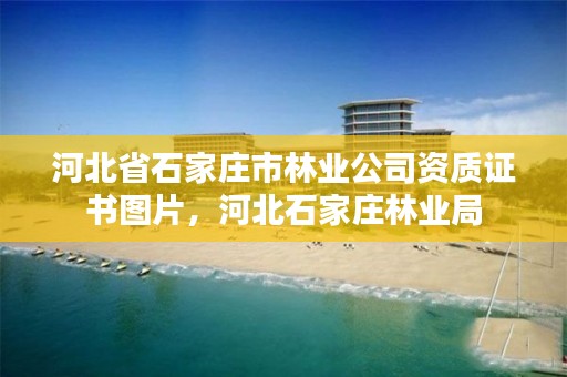 河北省石家庄市林业公司资质证书图片，河北石家庄林业局