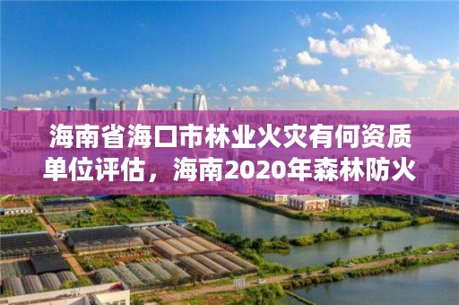 海南省海口市林业火灾有何资质单位评估，海南2020年森林防火工作方案