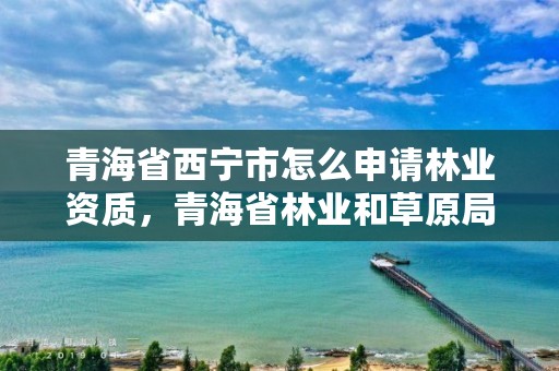 青海省西宁市怎么申请林业资质，青海省林业和草原局营业执照