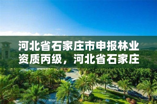 河北省石家庄市申报林业资质丙级，河北省石家庄市申报林业资质丙级公司名单