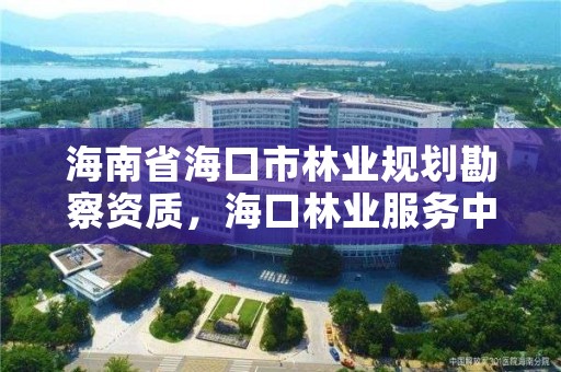 海南省海口市林业规划勘察资质，海口林业服务中心