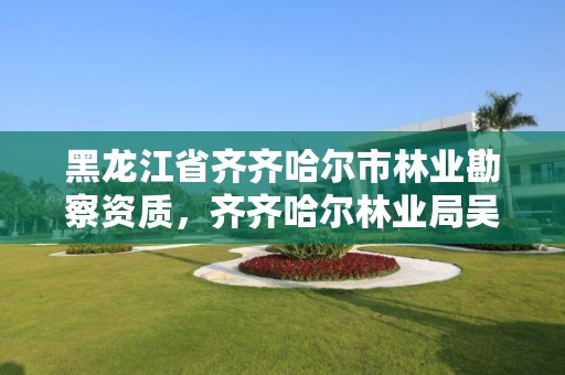 黑龙江省齐齐哈尔市林业勘察资质，齐齐哈尔林业局吴寒