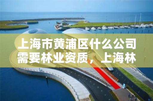 上海市黄浦区什么公司需要林业资质，上海林业部门