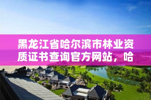 黑龙江省哈尔滨市林业资质证书查询官方网站，哈尔滨林业厅官网