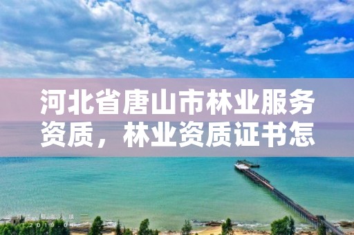 河北省唐山市林业服务资质，林业资质证书怎么办理?