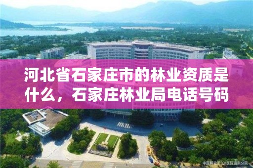 河北省石家庄市的林业资质是什么，石家庄林业局电话号码