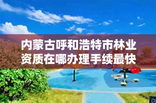 内蒙古呼和浩特市林业资质在哪办理手续最快，呼和浩特市林业局长是谁了