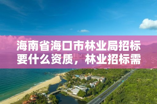 海南省海口市林业局招标要什么资质，林业招标需要哪些材料