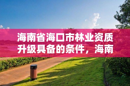 海南省海口市林业资质升级具备的条件，海南省2020年林业改革发展资金用途