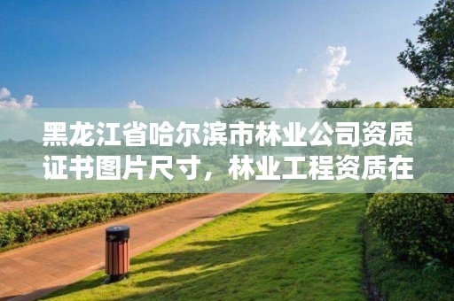 黑龙江省哈尔滨市林业公司资质证书图片尺寸，林业工程资质在哪办