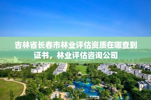 吉林省长春市林业评估资质在哪查到证书，林业评估咨询公司