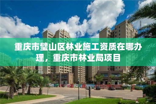 重庆市璧山区林业施工资质在哪办理，重庆市林业局项目