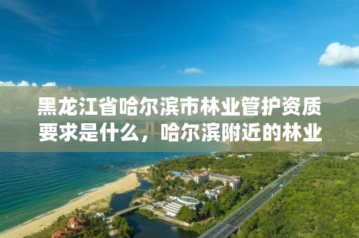 黑龙江省哈尔滨市林业管护资质要求是什么，哈尔滨附近的林业局