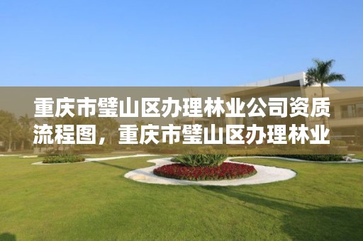 重庆市璧山区办理林业公司资质流程图，重庆市璧山区办理林业公司资质流程图表