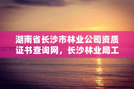 湖南省长沙市林业公司资质证书查询网，长沙林业局工资待遇