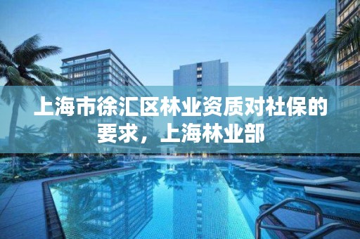 上海市徐汇区林业资质对社保的要求，上海林业部