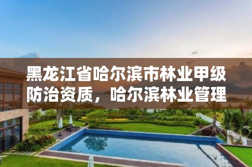 黑龙江省哈尔滨市林业甲级防治资质，哈尔滨林业管理局