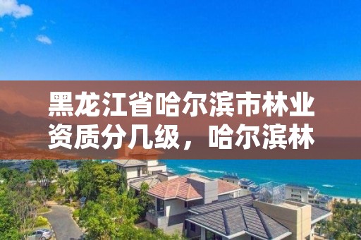 黑龙江省哈尔滨市林业资质分几级，哈尔滨林业局管辖范围