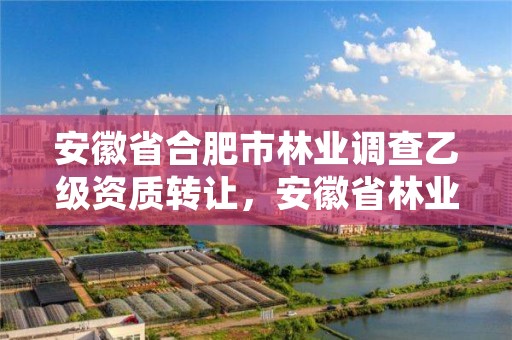 安徽省合肥市林业调查乙级资质转让，安徽省林业工程系列技术资格评审标准条件