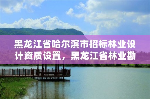 黑龙江省哈尔滨市招标林业设计资质设置，黑龙江省林业勘察设计院电话