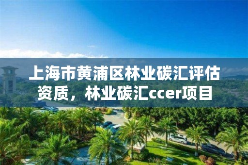 上海市黄浦区林业碳汇评估资质，林业碳汇ccer项目