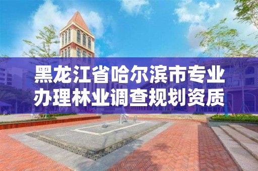 黑龙江省哈尔滨市专业办理林业调查规划资质，林业调查设计规划资质管理规定告