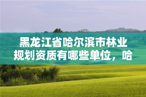 黑龙江省哈尔滨市林业规划资质有哪些单位，哈尔滨林业厅地址