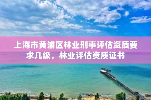 上海市黄浦区林业刑事评估资质要求几级，林业评估资质证书