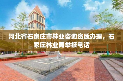 河北省石家庄市林业咨询资质办理，石家庄林业局举报电话