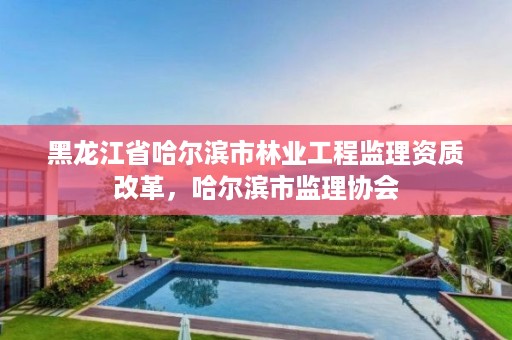 黑龙江省哈尔滨市林业工程监理资质改革，哈尔滨市监理协会