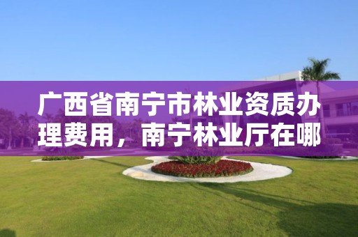 广西省南宁市林业资质办理费用，南宁林业厅在哪里