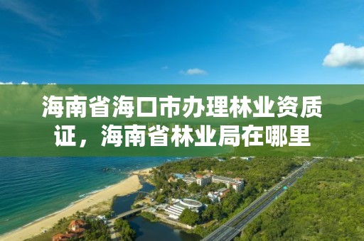 海南省海口市办理林业资质证，海南省林业局在哪里