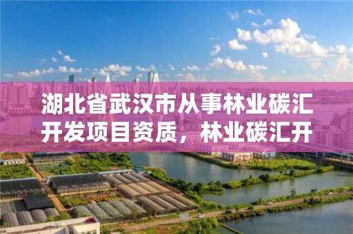 湖北省武汉市从事林业碳汇开发项目资质，林业碳汇开发公司