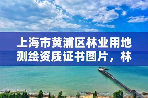 上海市黄浦区林业用地测绘资质证书图片，林业局测绘项目