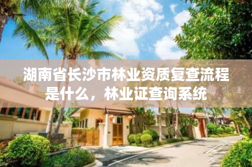 湖南省长沙市林业资质复查流程是什么，林业证查询系统