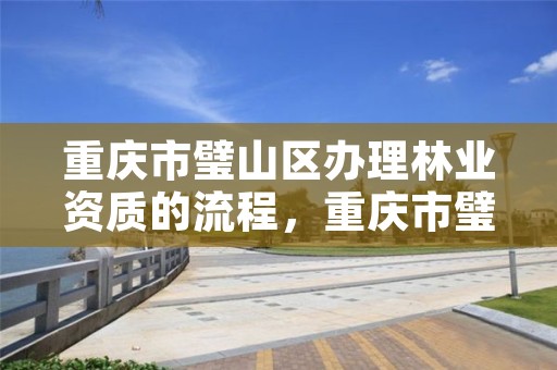 重庆市璧山区办理林业资质的流程，重庆市璧山区办理林业资质的流程图