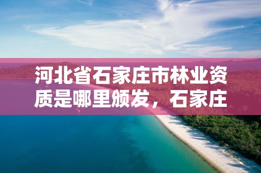 河北省石家庄市林业资质是哪里颁发，石家庄林业局招标