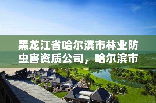 黑龙江省哈尔滨市林业防虫害资质公司，哈尔滨市森林防火装备有限责任公司