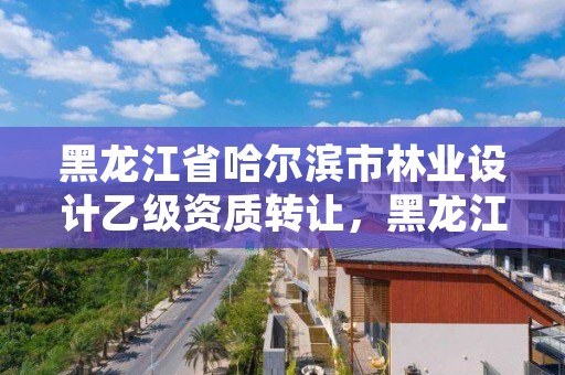 黑龙江省哈尔滨市林业设计乙级资质转让，黑龙江省林业设计研究院组织机构代码