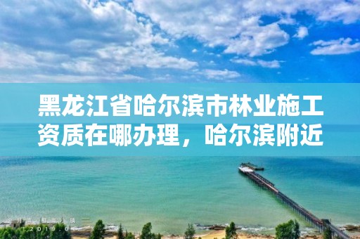 黑龙江省哈尔滨市林业施工资质在哪办理，哈尔滨附近的林业局