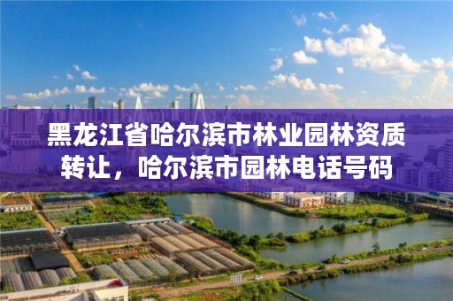 黑龙江省哈尔滨市林业园林资质转让，哈尔滨市园林电话号码