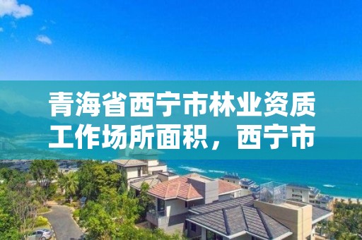 青海省西宁市林业资质工作场所面积，西宁市林业管理条例