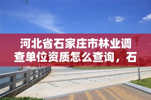 河北省石家庄市林业调查单位资质怎么查询，石家庄林业局下属单位