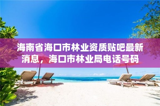 海南省海口市林业资质贴吧最新消息，海口市林业局电话号码