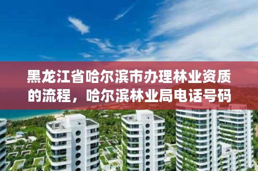 黑龙江省哈尔滨市办理林业资质的流程，哈尔滨林业局电话号码