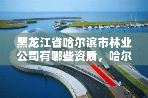 黑龙江省哈尔滨市林业公司有哪些资质，哈尔滨市林业局直属林场