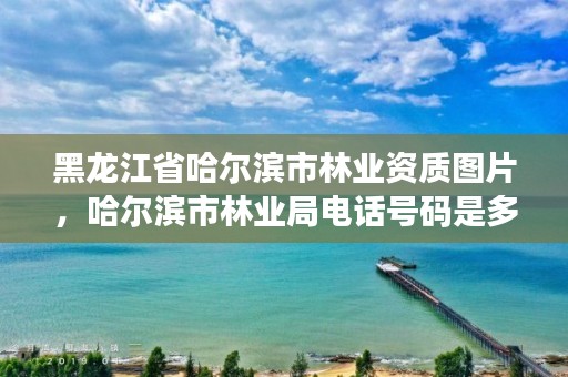 黑龙江省哈尔滨市林业资质图片，哈尔滨市林业局电话号码是多少