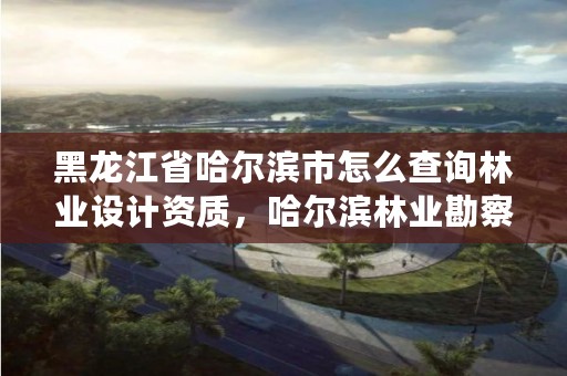 黑龙江省哈尔滨市怎么查询林业设计资质，哈尔滨林业勘察设计院